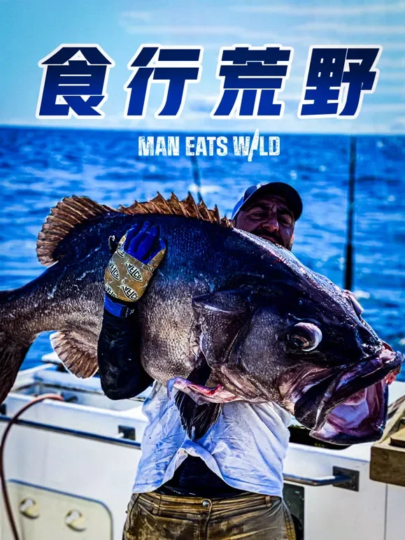 食行荒野综艺海报