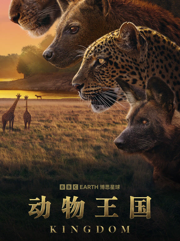 动物王国