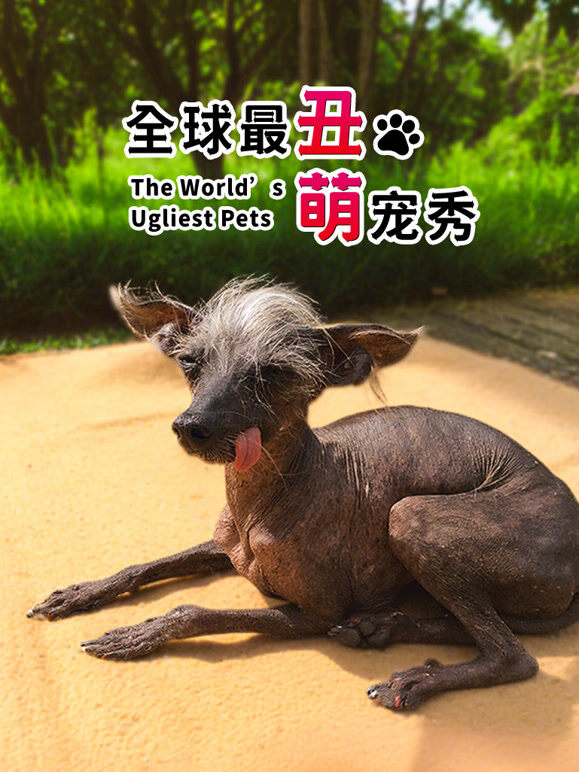 全球最丑萌宠秀-配音版