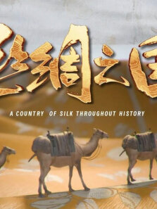 丝绸之国