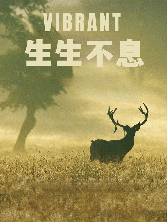生生不息