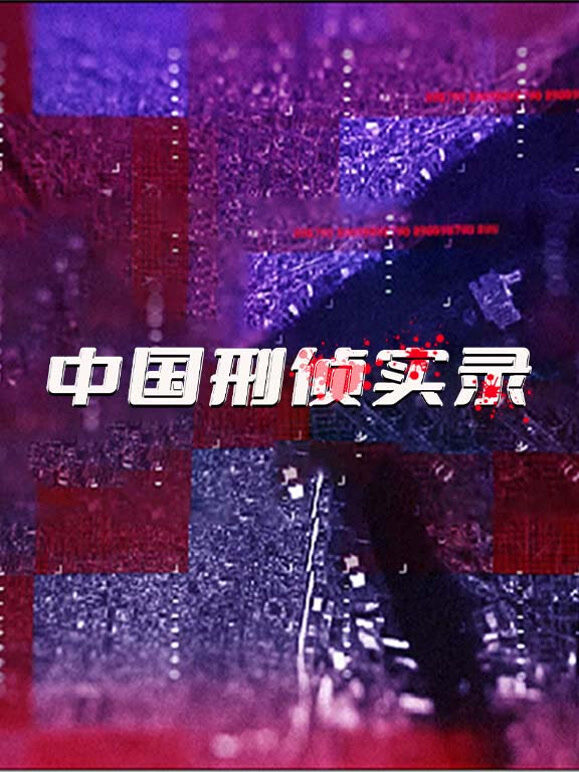 中国刑侦实录