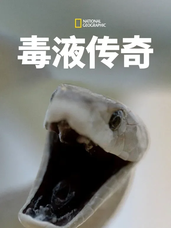 毒液传奇综艺海报