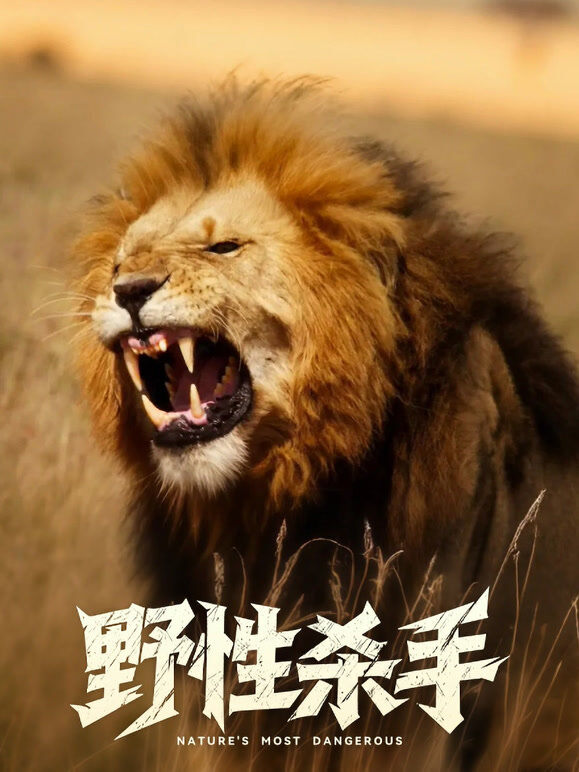 野性杀手