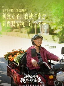 种完麦子我就往南走