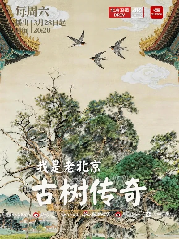 我是老北京——古树传奇综艺海报