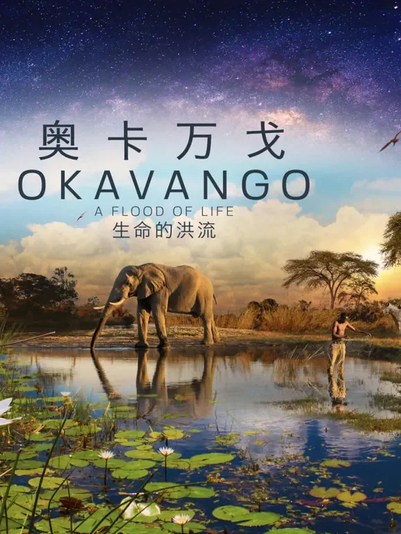 奥卡万戈：生命的洪流综艺海报