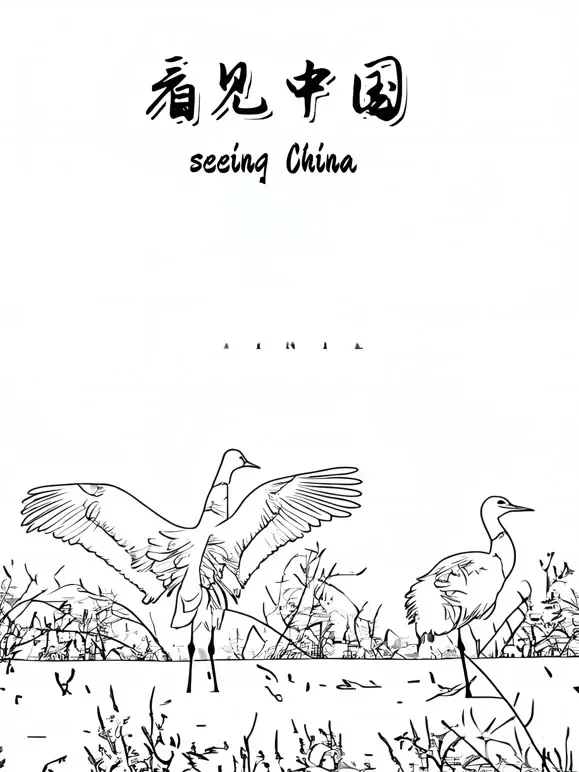 看见中国综艺海报