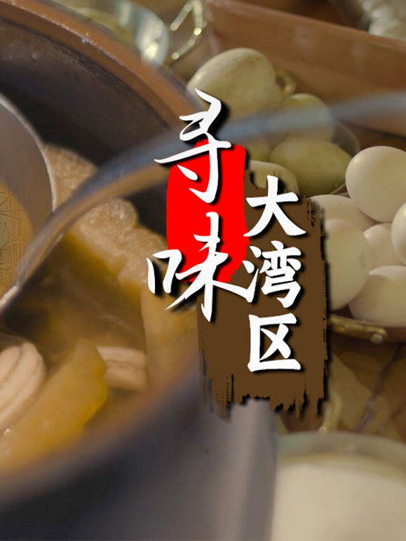 寻味大湾区英文版