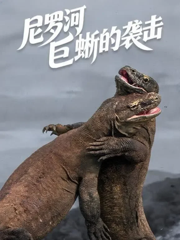 尼罗河巨蜥的袭击国语版综艺海报