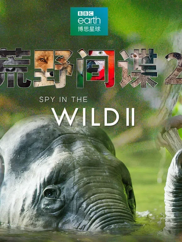 荒野间谍第二季综艺海报
