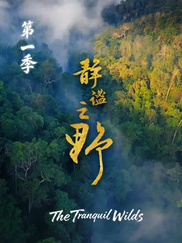 静谧之野第一季综艺海报