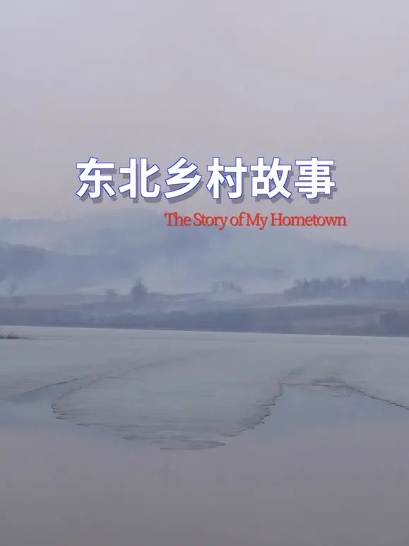 东北乡村故事综艺海报