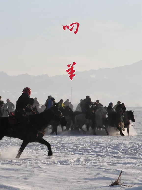叼羊综艺海报
