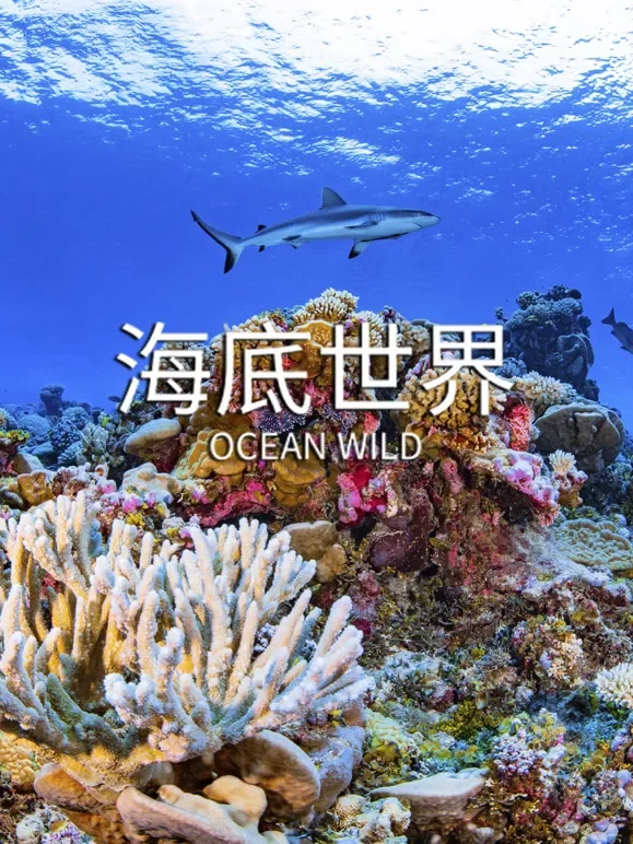 海底世界 中文版综艺海报