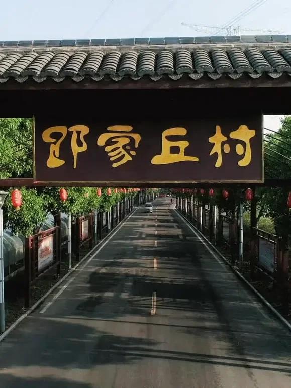 浙江有个了不起的村庄综艺海报