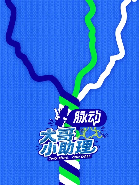 大哥小助理综艺海报