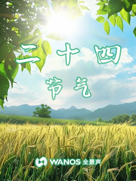 二十四节气综艺海报