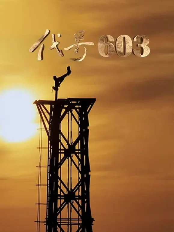 代号603综艺海报