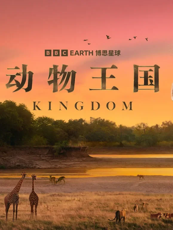 动物王国 配音版综艺海报