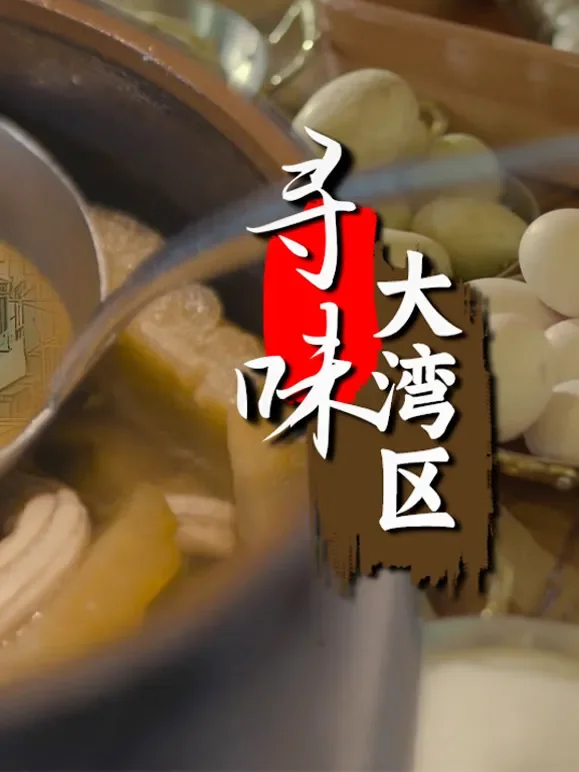 寻味大湾区配音版综艺海报