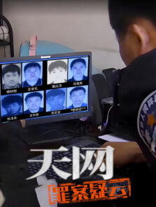 天网:罪案疑云