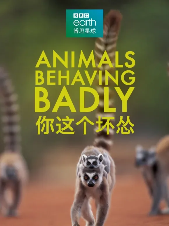 你这个坏怂综艺海报