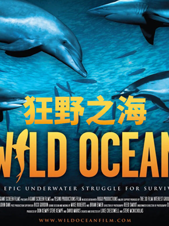 狂野之海