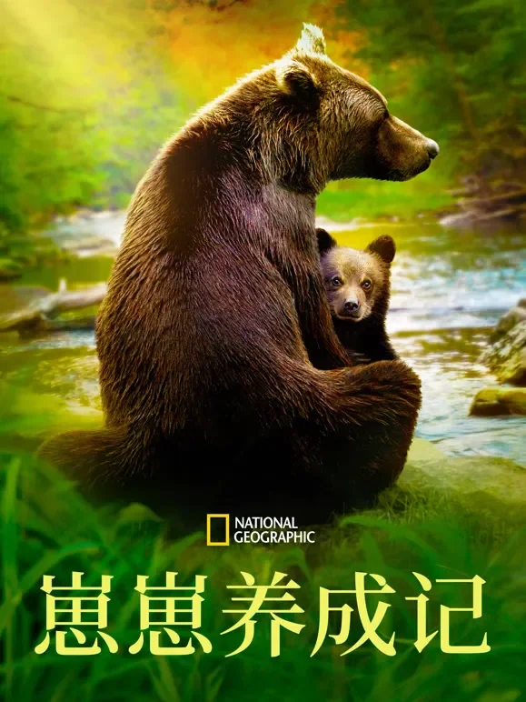崽崽养成记综艺海报