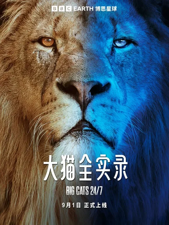 大猫全实录 中文版综艺海报