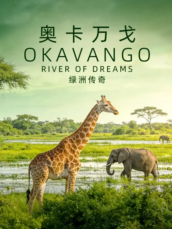 奥卡万戈：绿洲传奇-配音版综艺海报
