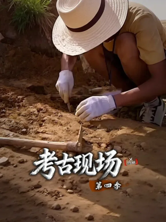X档案·考古现场第四季综艺海报