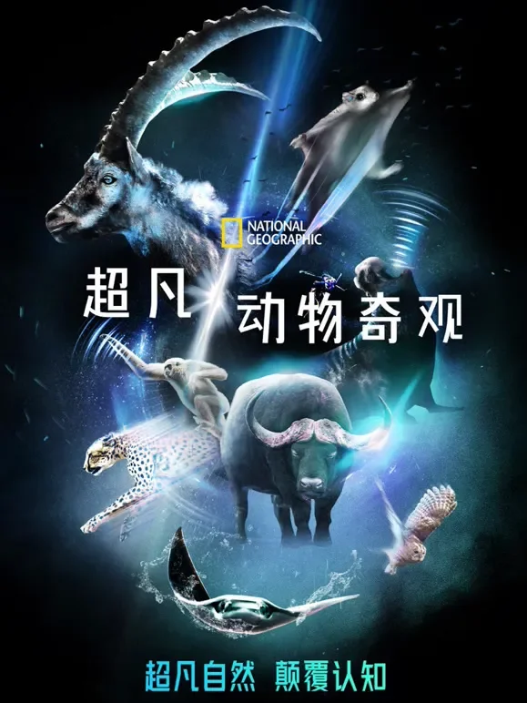 超凡动物奇观中文版综艺海报