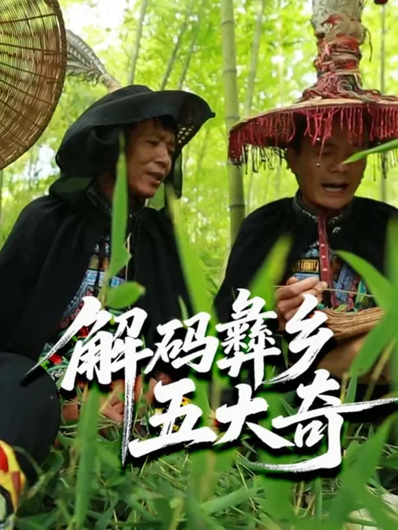 解码彝乡五大奇综艺海报