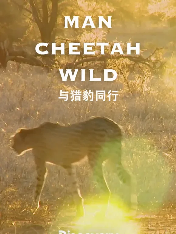 与猎豹同行综艺海报