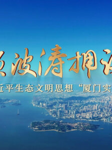 万顷波涛拥海来——习近平生态文明思想厦门实践