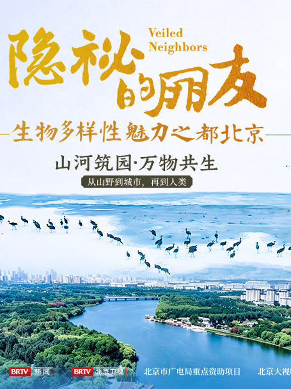 隐秘的朋友-生物多样性魅力之都北京