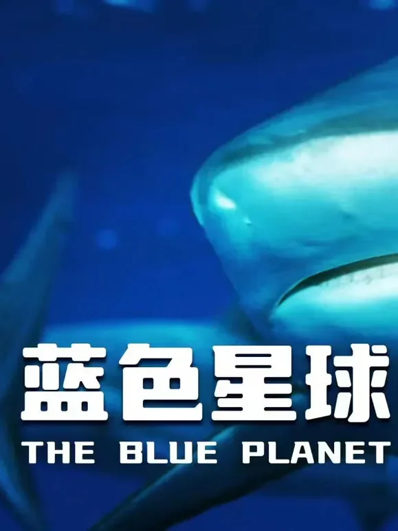 蓝色星球 第一季综艺海报