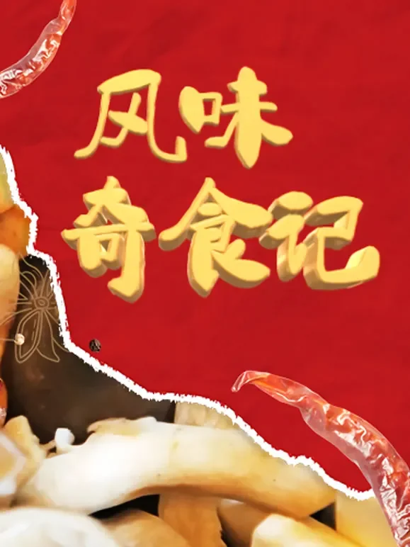 风味奇食记综艺海报