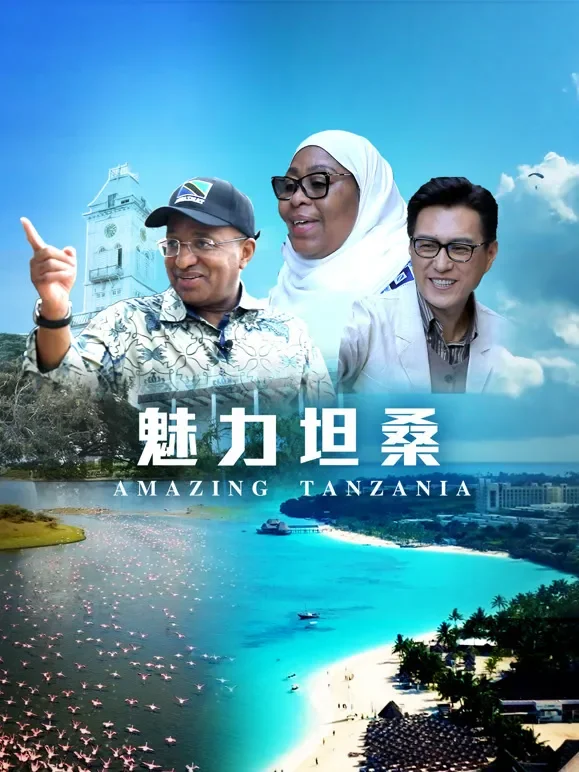 魅力坦桑综艺海报