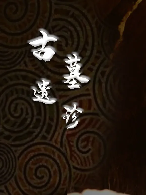 古墓遗珍第二季综艺海报