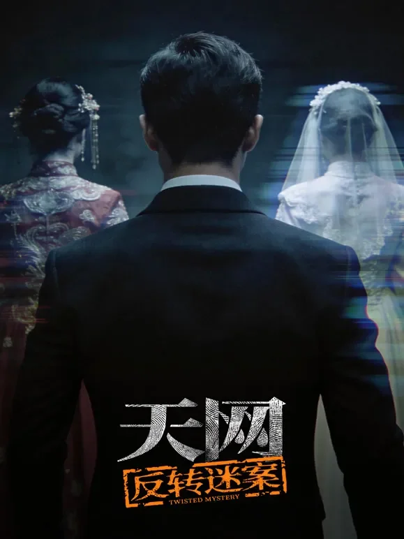 天网：反转迷案综艺海报