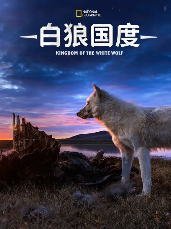 白狼国度 第一季综艺海报