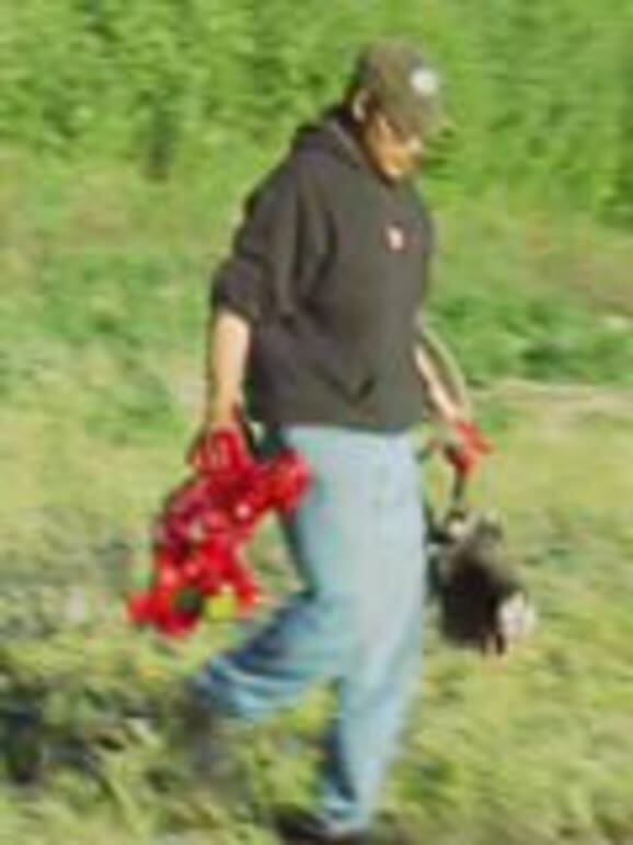 北极圈的猎人