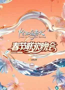 2025海南春晚综艺海报