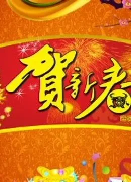 北京BTV春晚综艺海报