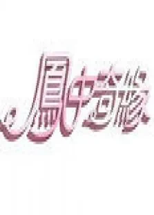 凤中奇缘综艺海报