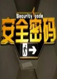 安全密码综艺海报