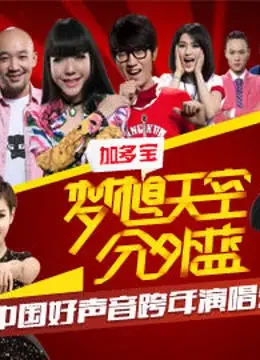 浙江卫视2013跨年晚会综艺海报