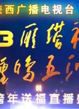 陕西卫视2013跨年晚会综艺海报
